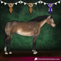 Horse Color:Gray Brown Dun Tobiano Rabicano