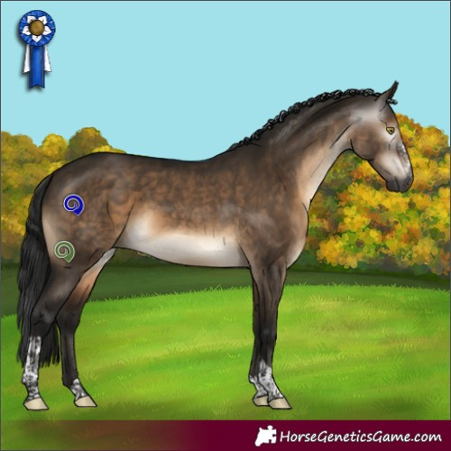 Horse Color:Gray Brown Dun Sabino Tobiano 