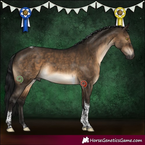Horse Color:Gray Brown Dun Tobiano Rabicano 