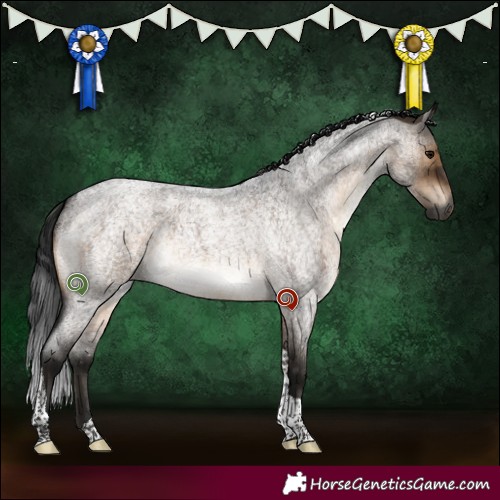 Horse Color:Gray Brown Roan Dun Tobiano Rabicano Brindle 