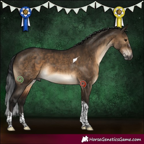 Horse Color:Gray Brown Dun Sabino Tobiano Rabicano 