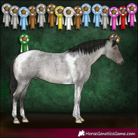 Horse Color:Gray Grullo Roan Tobiano Rabicano Brindle