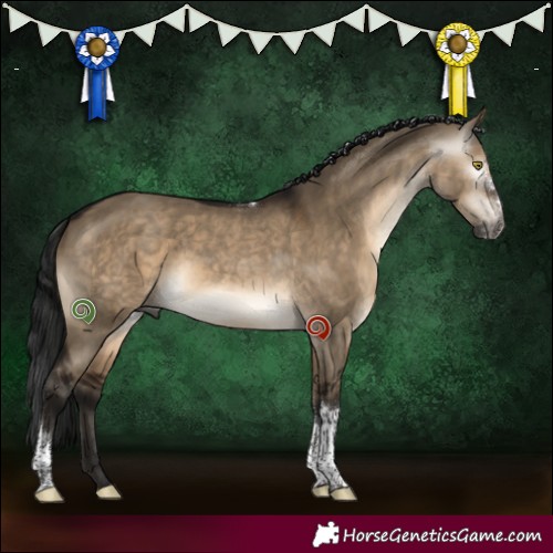 Horse Color:Gray Brown Dun Sabino Tobiano Rabicano 