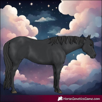 Horse Color:Black 