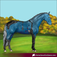 Horse Color:ERROR: UNKNOWN ANOMALY