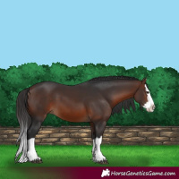 Horse Color:Brown Splash 