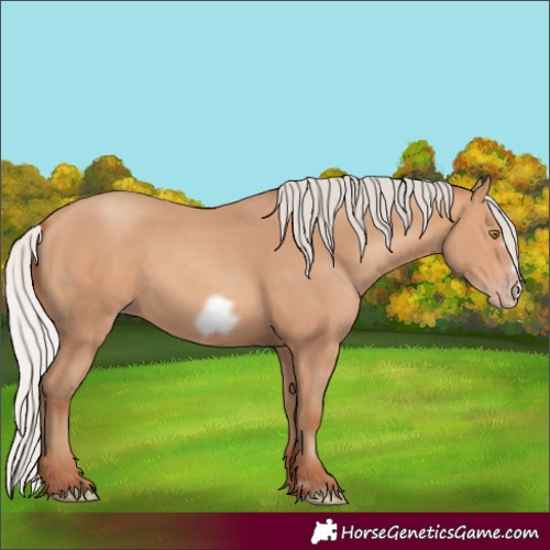 Horse Color:Silver Amber Champagne Frame 