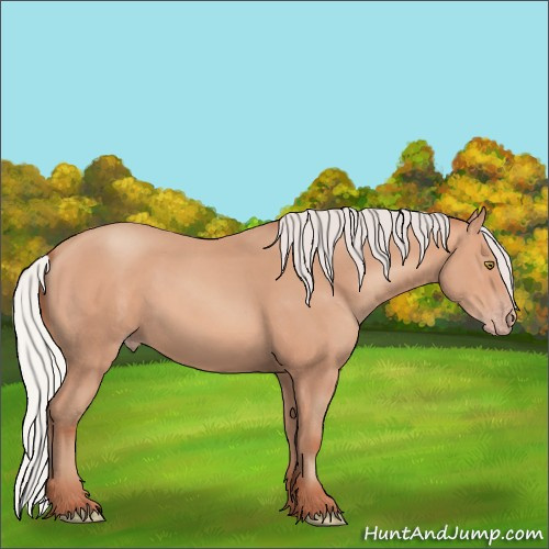 Horse Color:Silver Amber Champagne Frame 