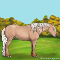 Horse Color:Silver Amber Champagne Frame 