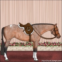 Horse Color:Bay Roan Tobiano 