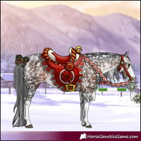 Horse Color:White Spotted Brown Mushroom Appaloosa 
