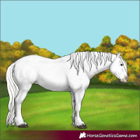 Horse Color:Silver Bay Tobiano Blanket 