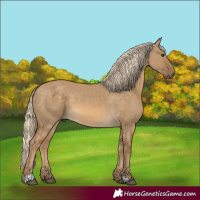Horse Color:Chocolate Palomino Dun 