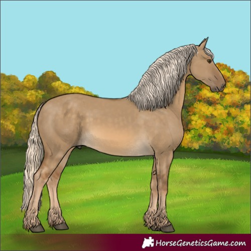 Horse Color:Chocolate Palomino Dun