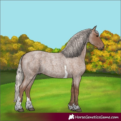 Horse Color:Silver Blue Roan Tobiano 