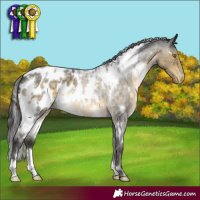 Horse Color:White Spotted Buckskin Roan Mushroom Appaloosa 