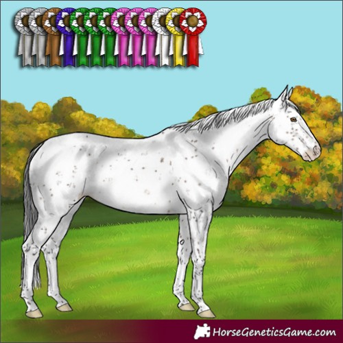 Horse Color:Brown Dun Mushroom Sabino