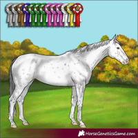 Horse Color:Brown Dun Mushroom Sabino 