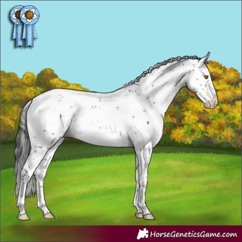 Horse Color:Buckskin Mushroom Sabino Splash
