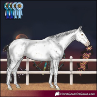 Horse Color:Buckskin Mushroom Sabino Splash 