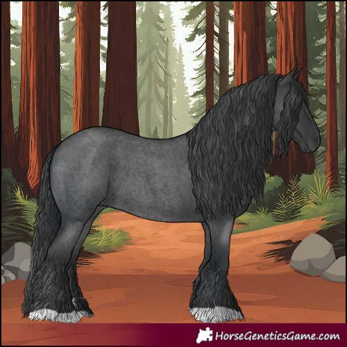 Horse Color:Blue Roan and Blue Roan
