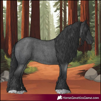 Horse Color:Blue Roan  and Blue Roan 