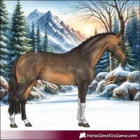 Horse Color:Buckskin Tobiano