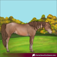 Horse Color:Brown Pearl 