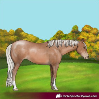 Horse Color:Silver Brown Pearl 