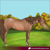 Horse Color:Brown Pearl 