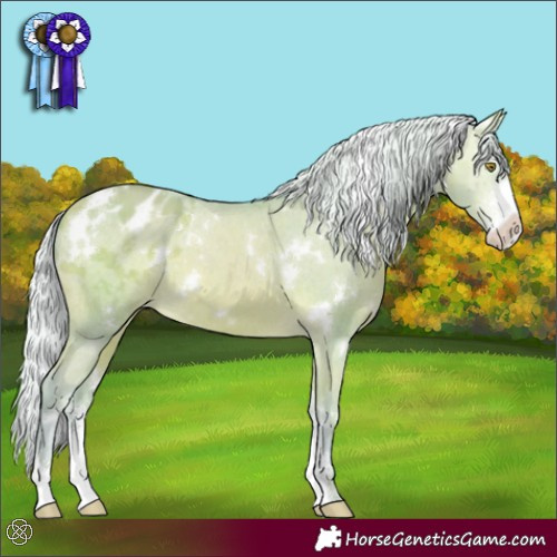 Horse Color:Watercolor White Spotted Silver Amber Champagne Sabino Varnish