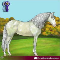 Horse Color:Watercolor White Spotted Silver Amber Champagne Sabino Appaloosa 