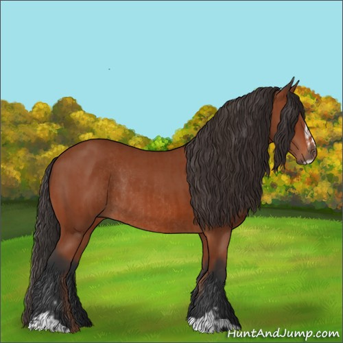 Horse Color:Bay Sabino Rabicano and Bay Sabino Rabicano