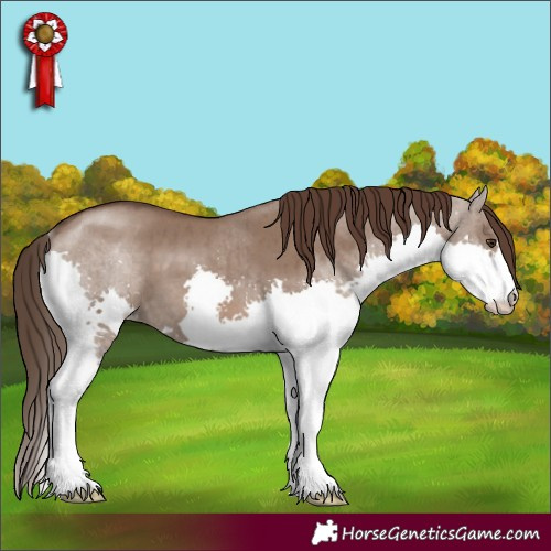 Horse Color:Liver Red Dun Splash Brindle 