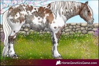 Horse Color:White Spotted Silver Blue Onyx Ice Pearl 