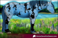 Horse Color:ERROR: UNKNOWN ANOMALY