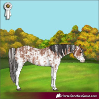 Horse Color:Bay Sabino Rabicano  and Bay Sabino Rabicano 