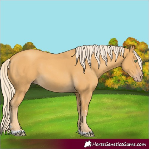 Horse Color:Gold Cream Champagne 
