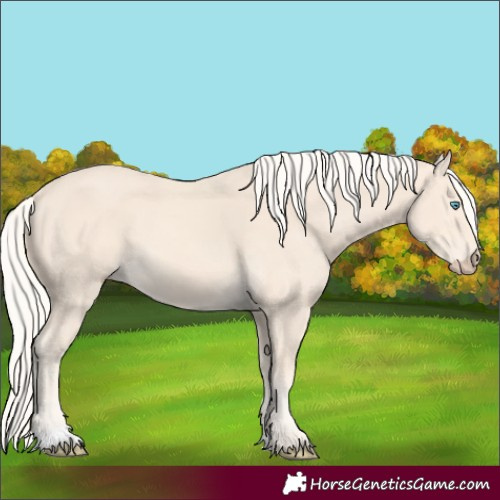 Horse Color:Cremello 