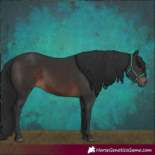 Horse Color:Brown 