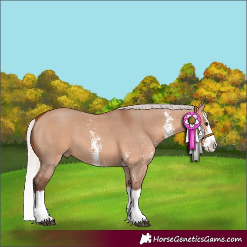 Horse Color:Silver Bay Dun Sabino Splash 