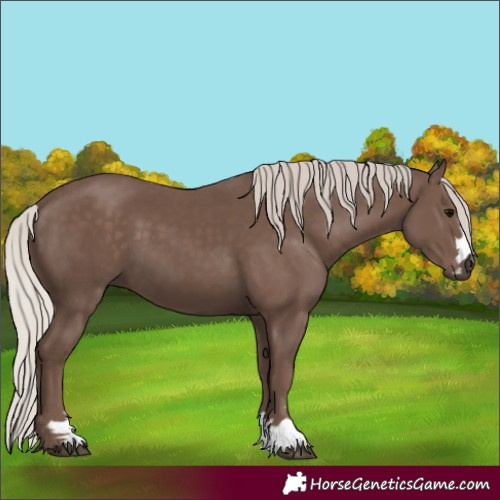 Horse Color:Silver Black 
