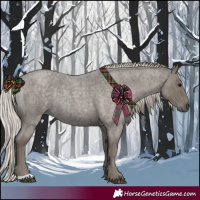 Horse Color:Silver Blue Roan 