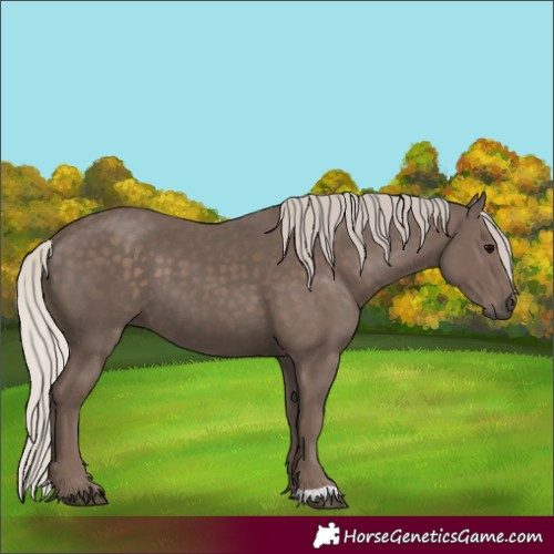 Horse Color:Silver Black 