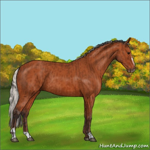 Horse Color:Bay Sabino Rabicano  and Silver Bay Sabino Rabicano 