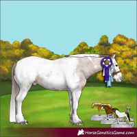 Horse Color:Bay Roan Splash Tobiano Snowcap 