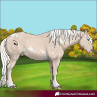 Horse Color:White Spotted Cremello