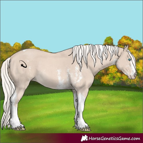 Horse Color:Cremello Sabino Tobiano 