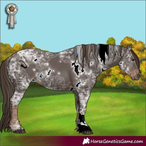 Horse Color:White Spotted Liver Chestnut Ice 