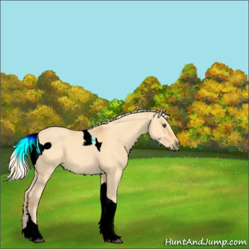 Horse Color:ERROR: UNKNOWN ANOMALY